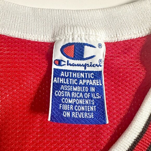 VTG 90s Bulls Champion Jersey - Picture 7 of 10